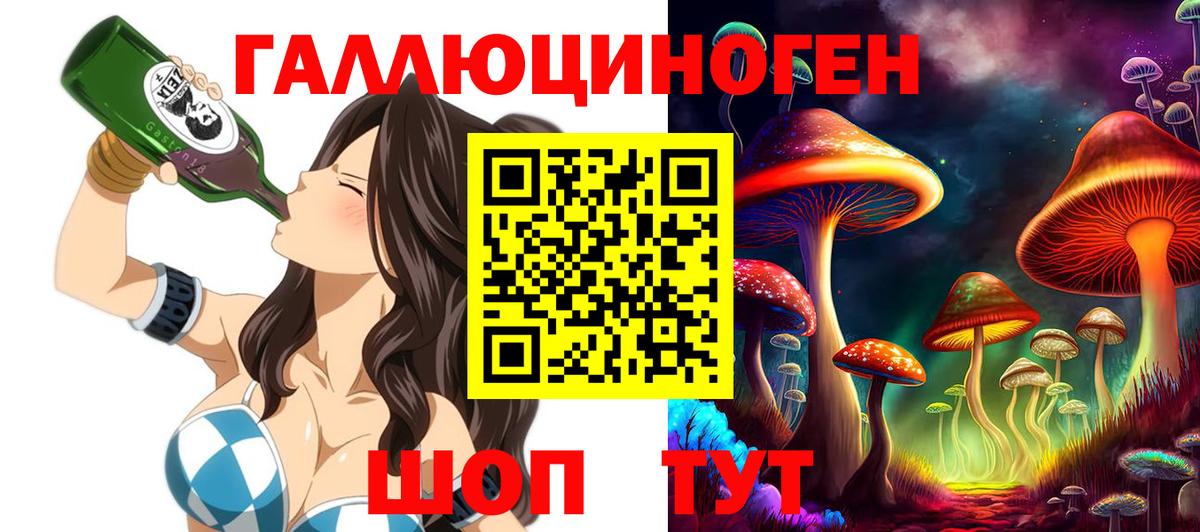 Волоколамск  Галлюциногенные грибы Cubensis  Вход с VPN 
